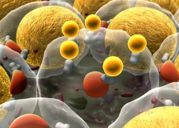 LC-MS/MS Assay Kit of Fatty Acids and Lipids